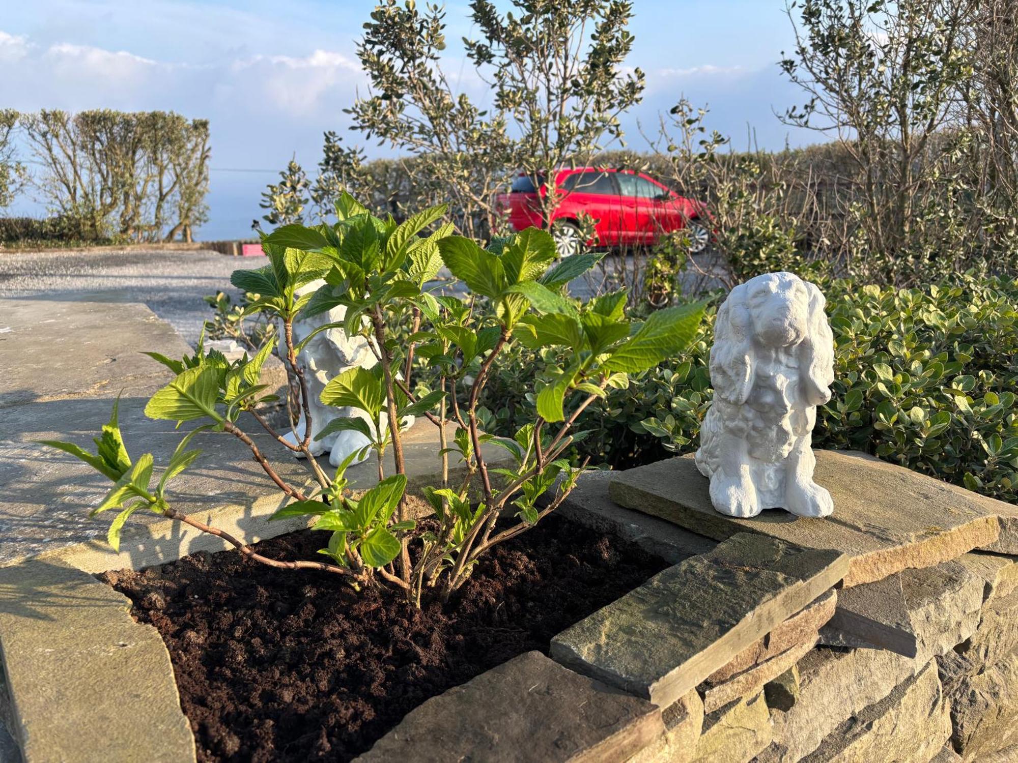 Ocean View Guestrooms Doolin Bagian luar foto